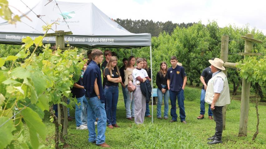 Semana Frutifica Paraná destaca potencial da fruticultura e incentiva jovens a se fixarem no campo  