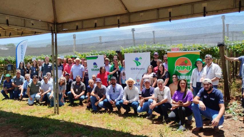 Produtores de uva de Marialva participam da 1ª Jornada Tecnológica em Fruticultura