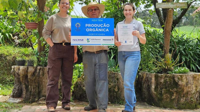 Rio Negro tem o maior erval orgânico da Região Metropolitana de Curitiba