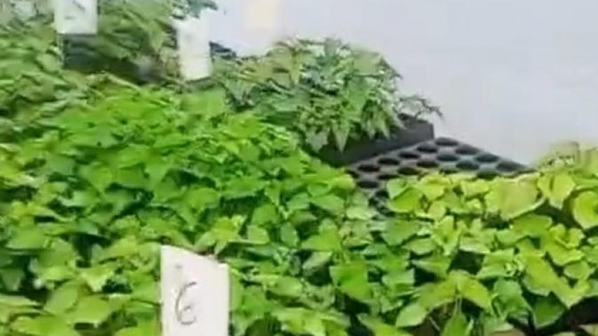 AgroTec 2026 consolida integração entre tecnologia, sustentabilidade e produção rural