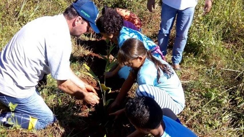 IDR-Paraná divulga segunda chamada e reabre inscrições para o Processo de Seleção Simplificado