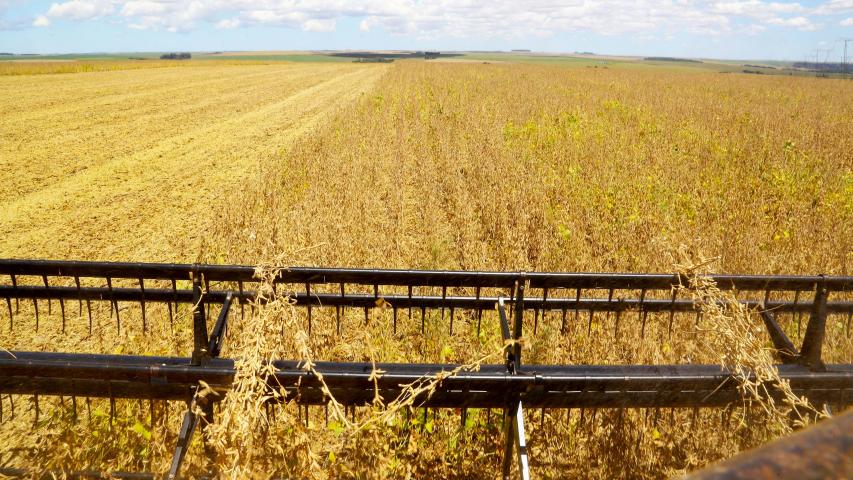 Paraná registra avanço na safra de verão sob monitoramento técnico de produtividade e clima, aponta Deral