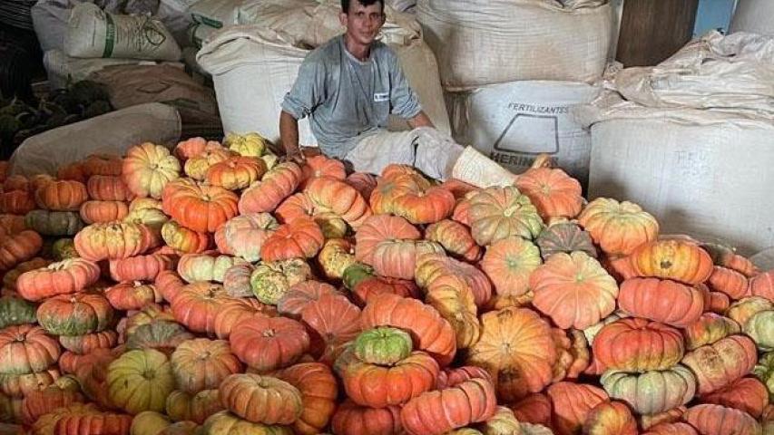 Boletim Agropecuário