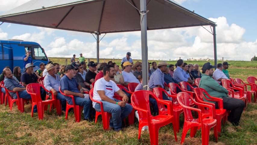 Dia de Campo em Maria Helena