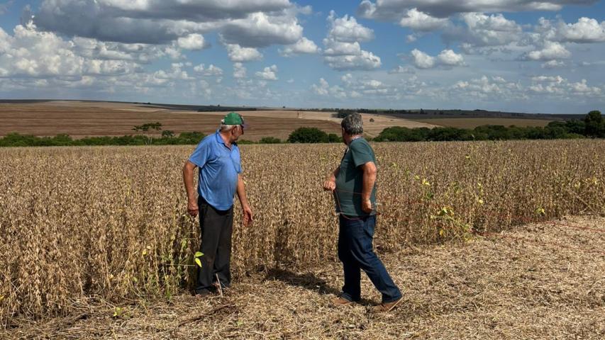 Concurso avalia perdas na colheita de soja, na região de Maringá