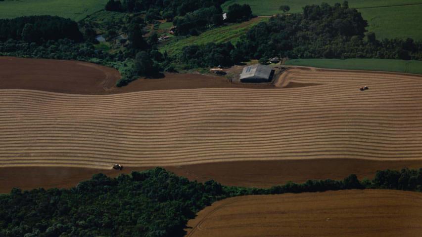 Safra de verão da soja caminha para o fim com 82% já colhida no Paraná