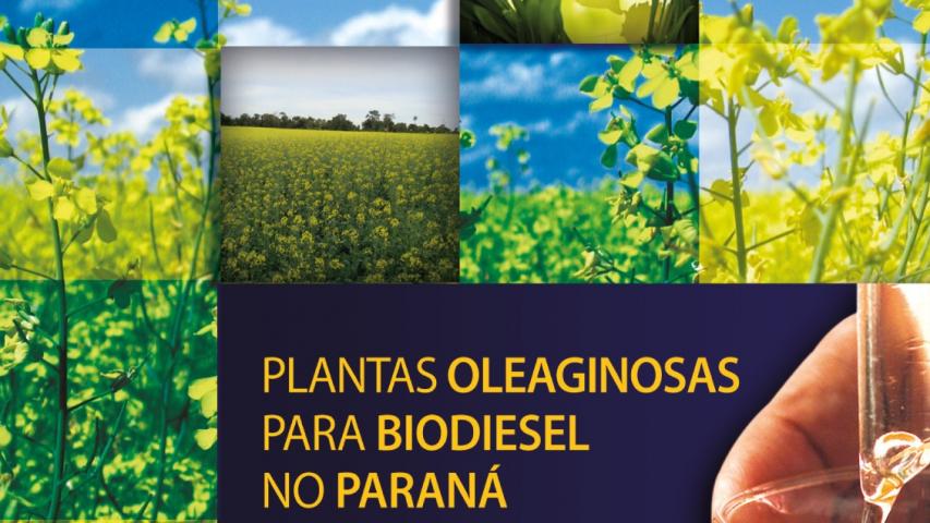 Livro apresenta alternativas para a produção de biodiesel