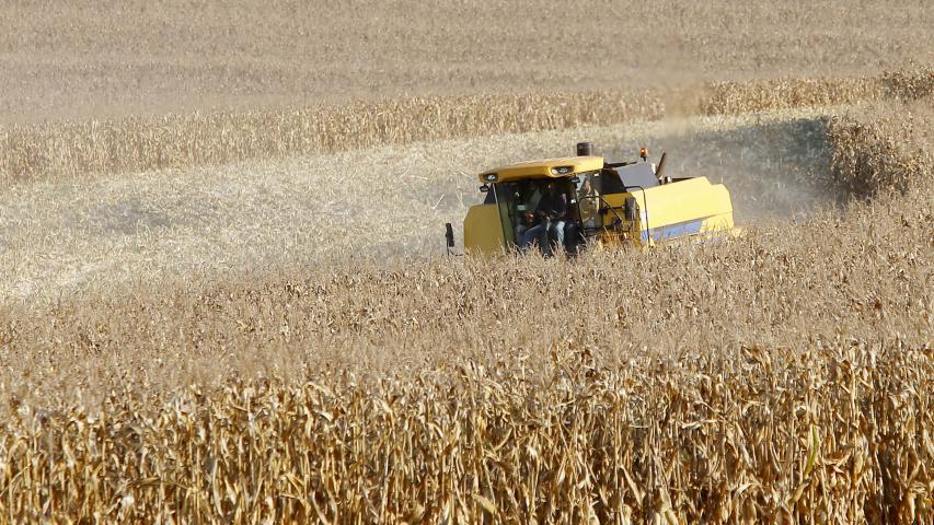  Paraná desponta como novo polo de etanol de milho com salto de 71% na produção 