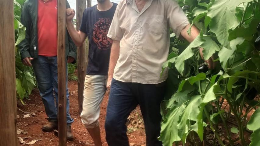 Produção orgânica