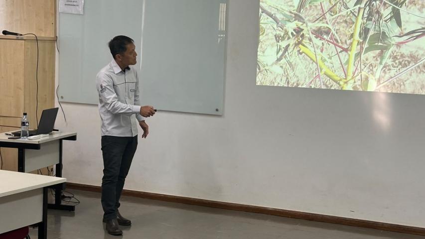 Curso fortalece o cultivo de mandioca de mesa