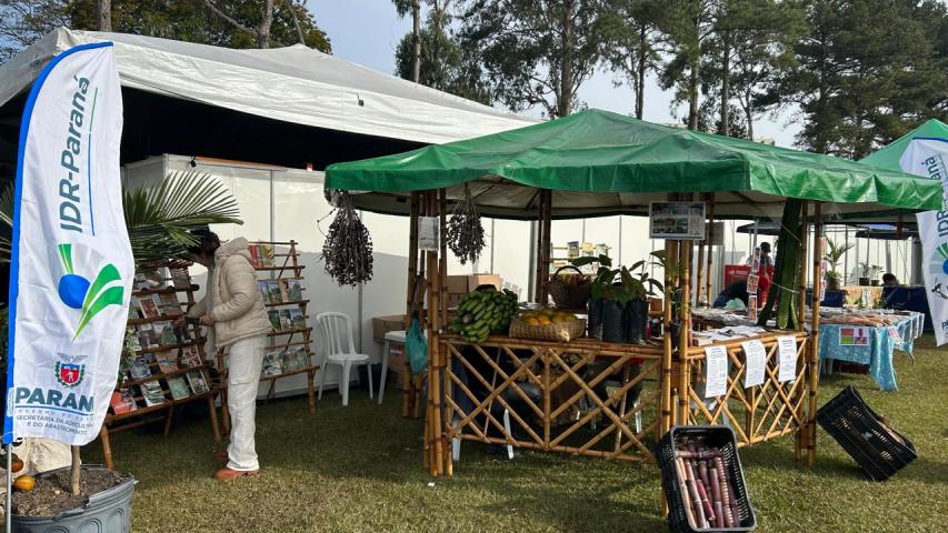 Jornada de Agroecologia
