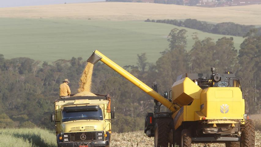 Paraná consolida safra de verão recorde puxada pela soja e milho, aponta boletim do Deral