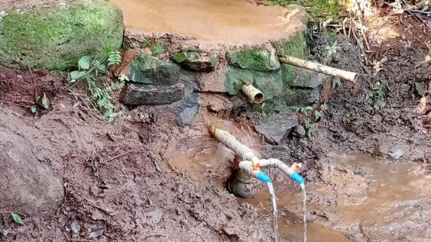 IDR-Paraná realiza oficina de proteção de nascentes em celebração ao Dia Mundial do Meio Ambiente