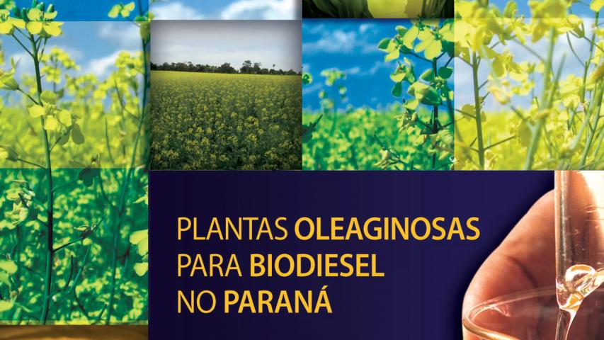 Livro do IDR-Paraná sobre biodiesel é destaque em prêmio nacional 