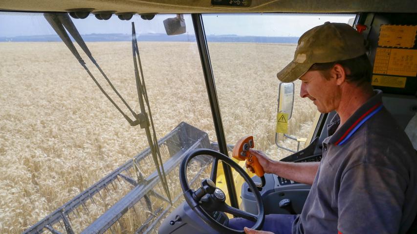 Boletim do Deral aponta efeitos das chuvas sobre trigo e destaca avanço nas exportações de frango 