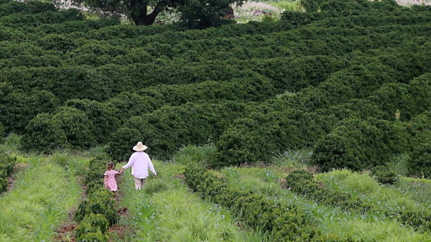 15º Encontro de Mulheres do Território Noroeste aborda direitos, produção e geração de renda