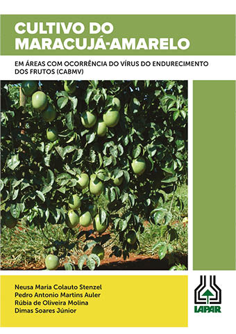 Capa Informe da Pesquisa 161